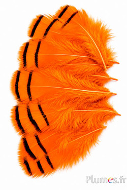 Patrijs - 3-7 cm - oranje